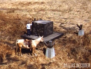 Barbara Bel Geddes, Dallas, Ellie Saves the Day, Miss Ellie Ewing