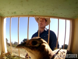 Dallas, John Ross Ewing, Josh Henderson, Playing Chicken, TNT